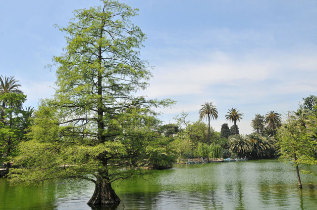 Dsc 1565 Park de La Ciutadella