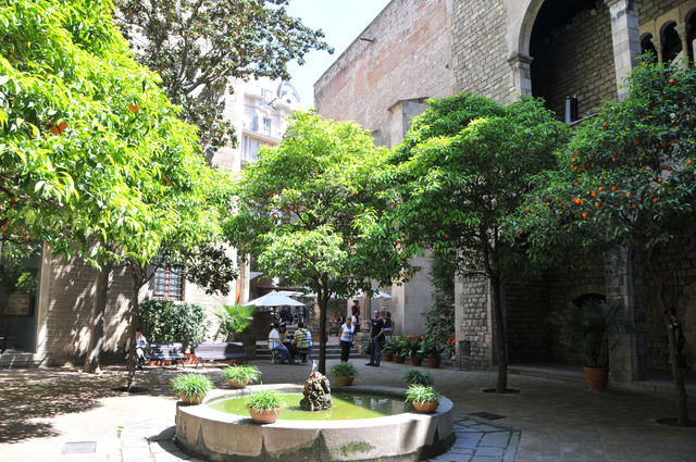 Dsc 1662 dziedziniec Muzeum Frederica Maresa