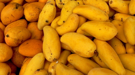 Suzhou - mango – Szanghaj, Chiny