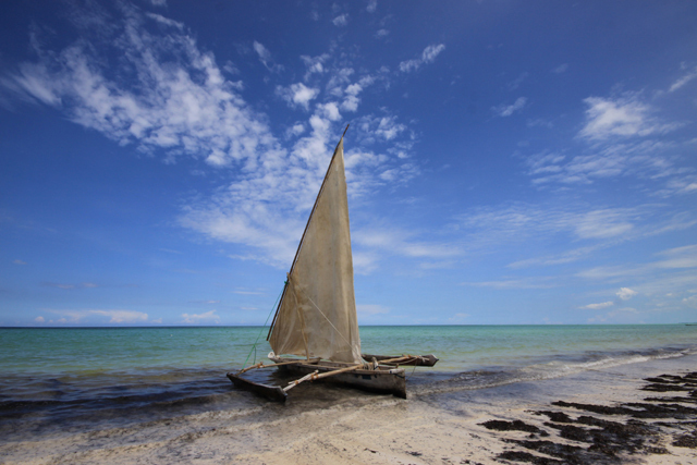 Zanzibar - Autor - Aleksander Kramarz