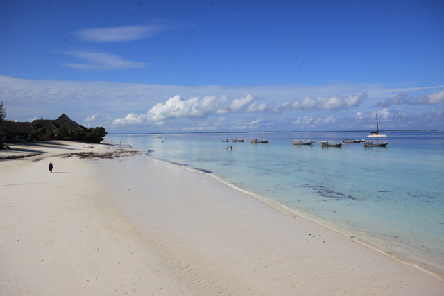 Zanzibar - Autor - Aleksander Kramarz