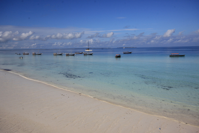 Zanzibar - Autor - Aleksander Kramarz