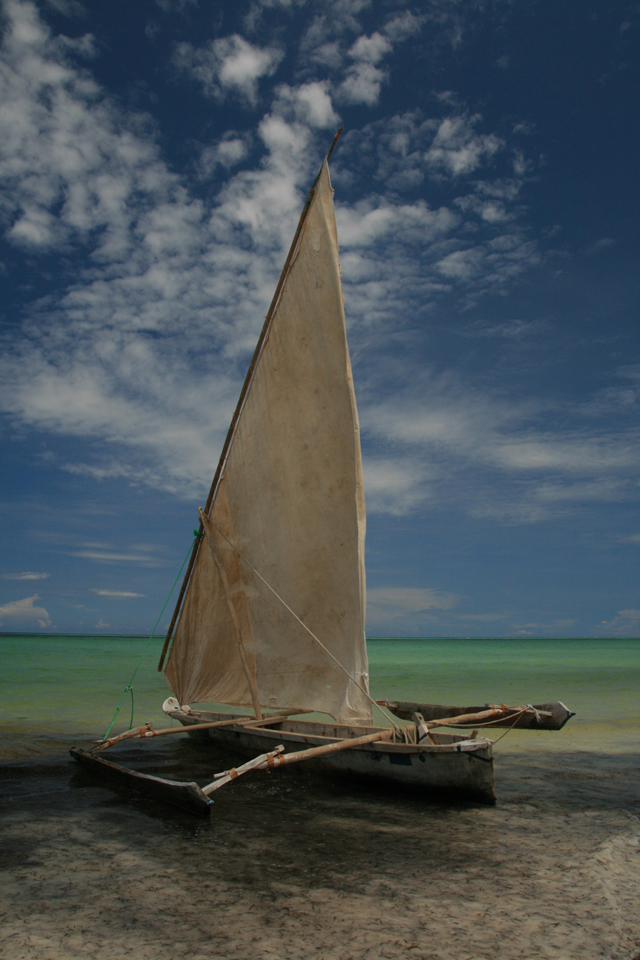 Zanzibar - Autor - Aleksander Kramarz