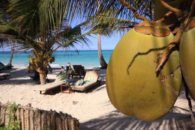 Zanzibar - Autor - Aleksander Kramarz