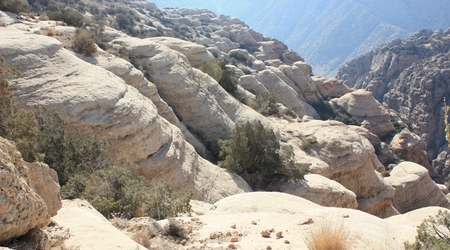 Rezerwat Dana, Jordania