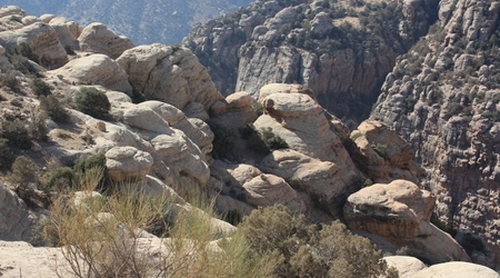 Rezerwat Dana, Jordania