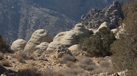 Rezerwat Dana, Jordania