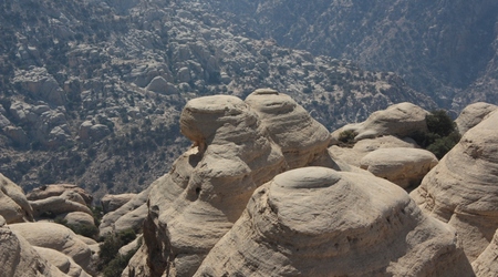 Skalne grzyby – Rezerwat dana, Jordania
