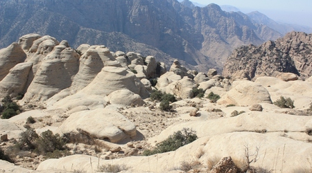 Skalne grzyby – Rezerwat dana, Jordania