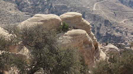 Skalne grzyby – Rezerwat dana, Jordania