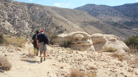 Skalne grzyby – Rezerwat dana, Jordania
