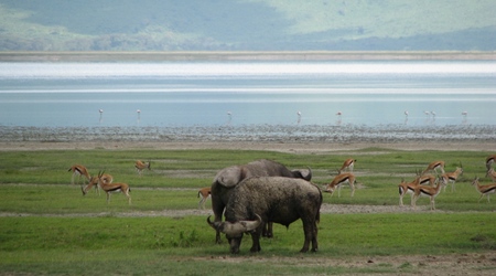 Ngorongoro – Tanzania