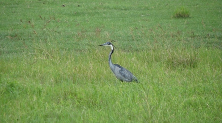 Ngorongoro – Tanzania