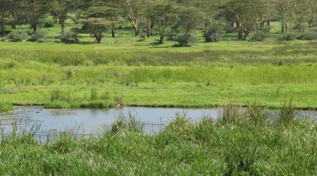 Ngorongoro – Tanzania