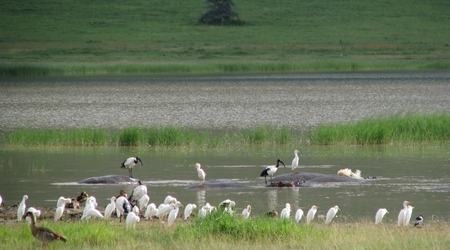 Ngorongoro – Tanzania