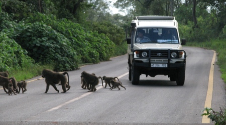 Ngorongoro – Tanzania