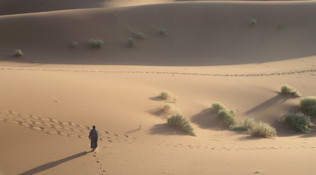 Pustynia i jej wydmy piaskowe – Agadir, Maroko