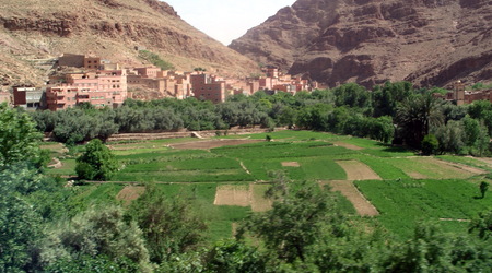 Pola uparwne w dolinie rzeki Dades – Agadir, Maroko