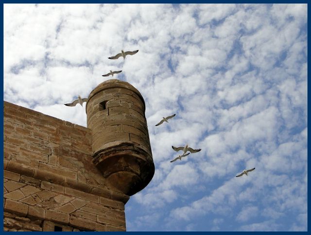 Essaouira