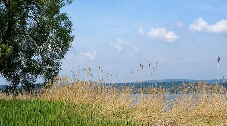 Reichenau brzeg wyspy nad Jeziorem Bodeńskim – Niemcy