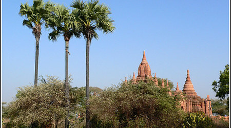 Myanmar 1539 – Pagan, Birma