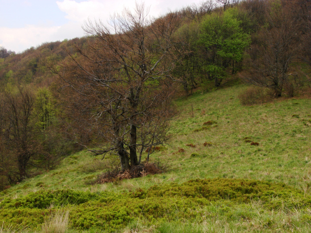 Dsc01730