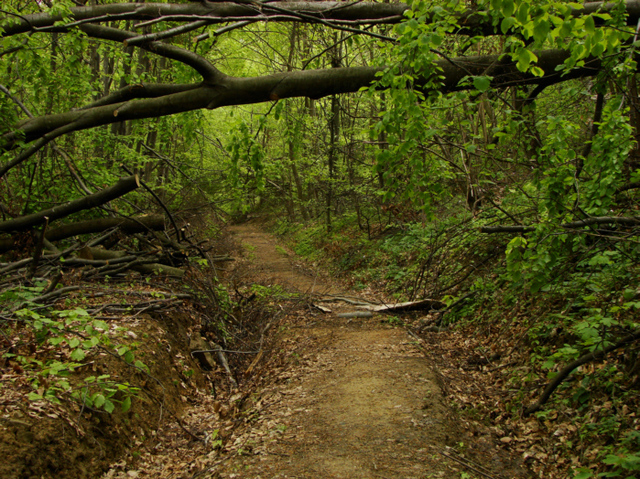 Bieszczadzki Park Narodowy