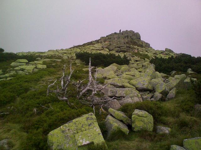 Karkonosze