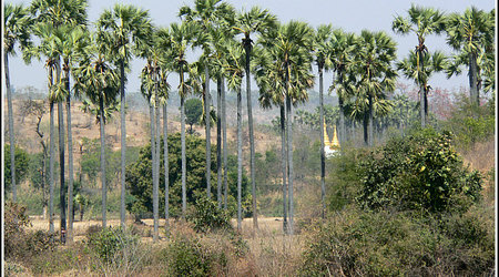 Myanmar 1688 – Birma