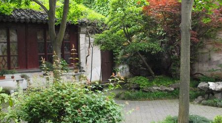 Ogród Mistrza Sieci - rośliny – Suzhou, Chiny