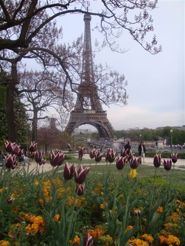 Wieża eiffla wiosną