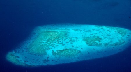 290971 - Malediwy Pod Palma