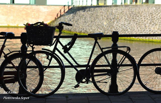 Rower - symbol Amsterdamu.