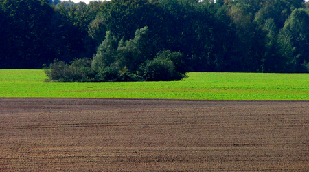 1 – Świdwin, Polska