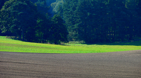 2 – Świdwin, Polska