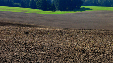 4 – Świdwin, Polska