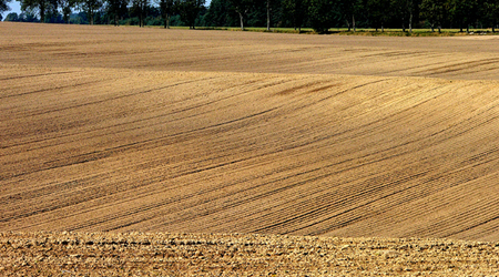 5 – Świdwin, Polska