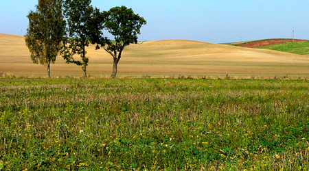 7 – Świdwin, Polska