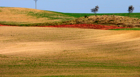 8 – Świdwin, Polska