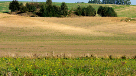 9 – Świdwin, Polska