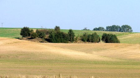 10 – Świdwin, Polska