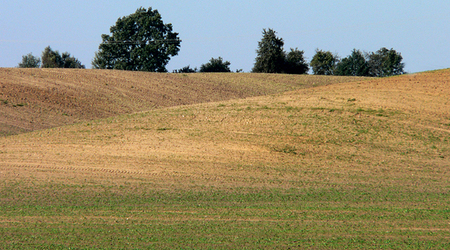 11 – Świdwin, Polska