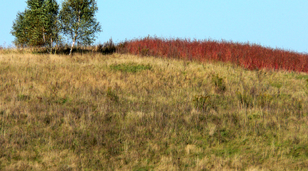 12 – Świdwin, Polska