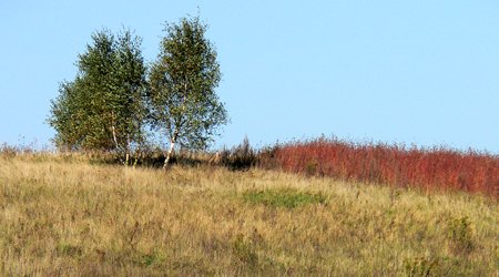 16 – Świdwin, Polska