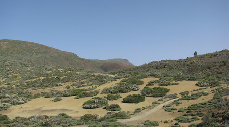 Parque del Teide – Vilaflor, Hiszpania