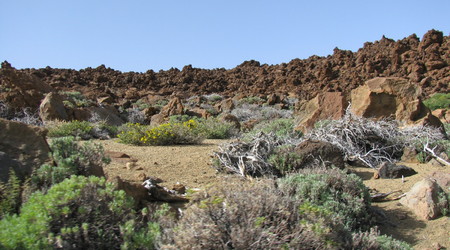 Parque del Teide – Vilaflor, Hiszpania