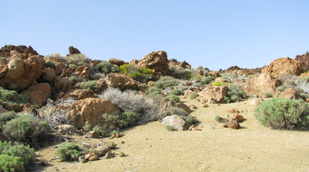 Parque del Teide – Vilaflor, Hiszpania