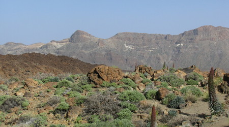 Parque del Teide – Vilaflor, Hiszpania