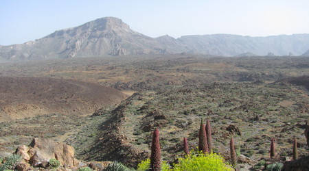 Parque del Teide – Vilaflor, Hiszpania