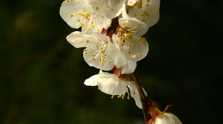 Pekin - Pałac Letni – Chiny